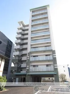 MINT ELVITAの画像