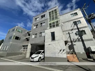 グレイエリアの画像