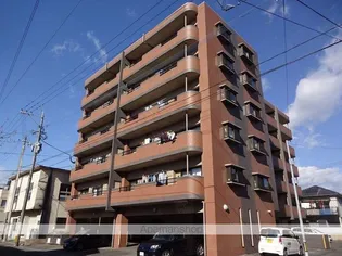 グランドステージ春日【501号室】の外観