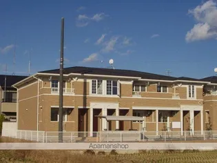 ルピナスBの画像