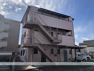 M 一番星の画像