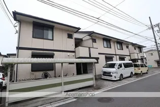 アムールの画像