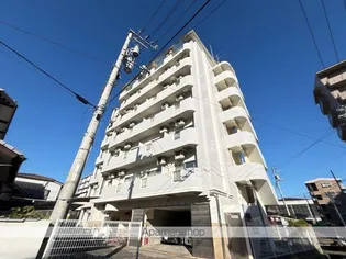 ホワイトヒルズの画像