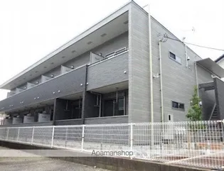 セオ アズルの画像