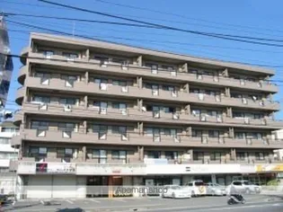 FALCO BAMBINOの画像