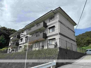 フォレスト蜂の巣Ⅱの画像