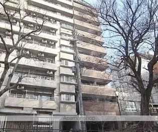 マッケンジー東堀川の画像