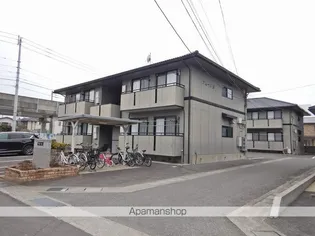 アムールAの画像