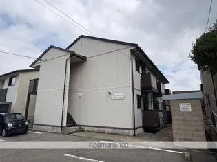 サンフラワーMの画像