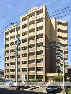 サニーサイドアップの画像