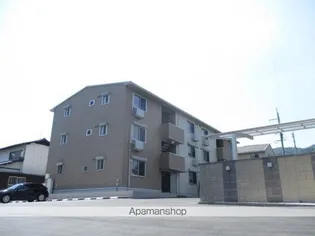 カーサステラⅢ【1階】の外観