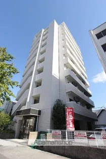 モア グレイス ワンの画像