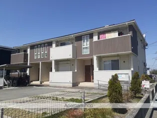 シュー シノワの画像