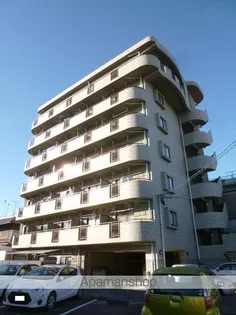 ウェークフォレストブロンドの画像