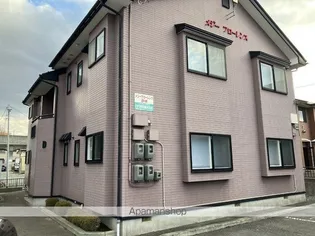 メジーフローレンスDの画像