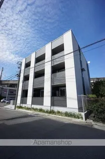 マーベラストレジャーの画像