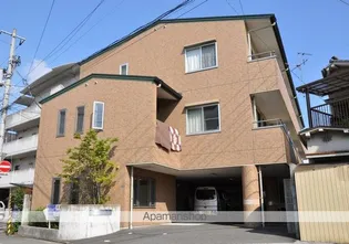 エグゼコート入明の画像