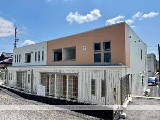 プリムローズの画像