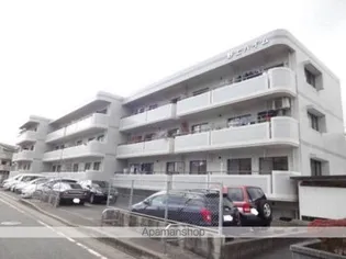 野上ハイムの画像