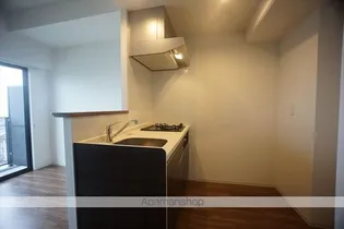 レジデンシア花の木「ハナノキ」【10階】の内装