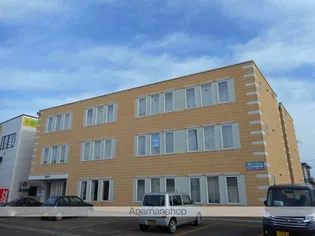 アイビーWの画像