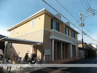 プリムラの画像