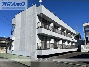 アムールアミィの画像