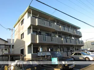 グラウクスの画像