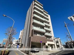 クレストタイガーの画像