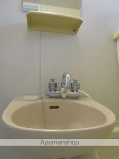 チェリーヒルズ【202号室】のその他画像