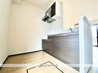 VIVALES II C(ヴィヴァレスツーシー)【110号室】のキッチン