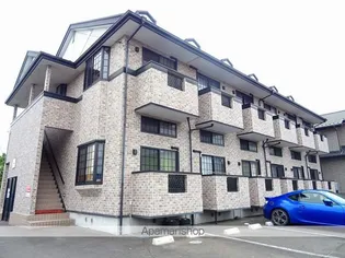 ソウ ヴィオラの画像