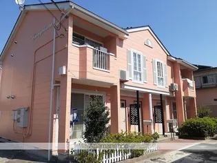 チェリーブラッサムⅣの画像