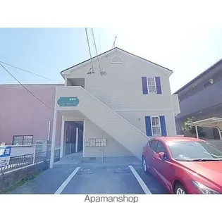 グレイス市場木の画像
