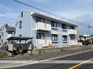 シャネルスウィートAの画像