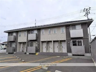 未来樹の画像