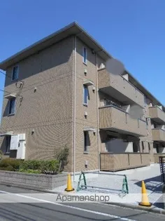 オリーブの画像