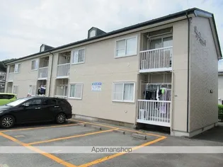 サンフラワー幸の画像