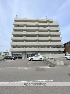 M'Sフローリッシュの画像
