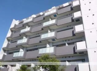 カーサ フェリーチェ 柴又【1階】の外観