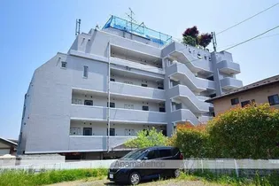 ケープロイヤル【202号室】の外観