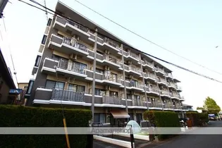 ルシーダⅠの画像
