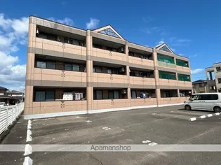 ヴィンテージ桜の画像