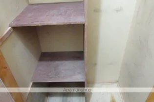 樹族館【1階】の内装