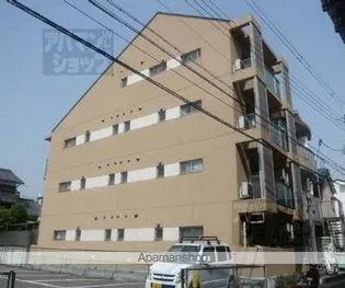 ヴィヴィモラドの画像