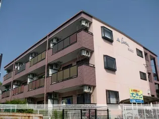 LIMPIA MAKIの画像