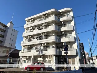 ロイヤルホワイトの画像