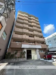 ファレノプシスの画像
