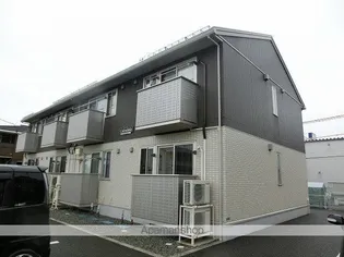 カレンデュラの画像