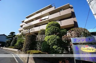 アンジェレの画像